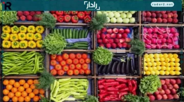 أسعار جديدة.. تحديث أسعار الخضروات والفاكهة في 21 ديسمبر 2025 وتأثيرها على الأسواق